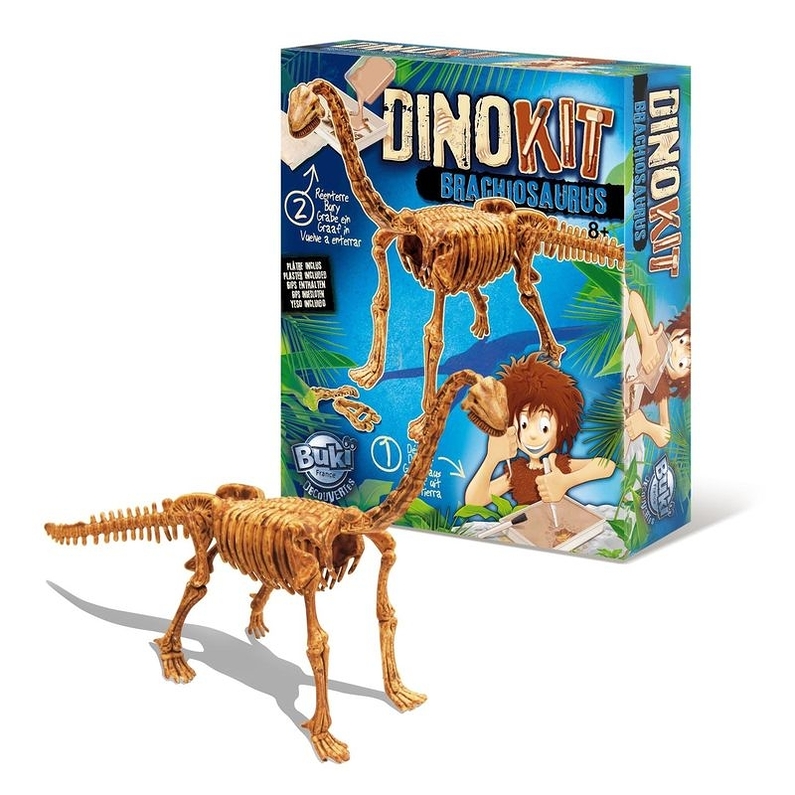 Kit Dinosaure Brachiosaurus